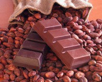 Im ersten Jahr des Projekts ist eine
Charakterisierung spontaner Kakao-
fermentationen geplant.
