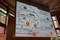 Vermeidungsstrategien zur Reduktion
des Cadmiumeintrags in die Kakaopflanze. (Vortrag: Mitigation of Cadmium
Bioaccumulation in Theobroma cacao L.; Prof. Pathmanathan Umaharan).
